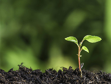 R-Water Footprint: Headwater Springs & River Basin Protection