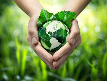 PES: Payment for Ecosystem Services - Forest Stewardship