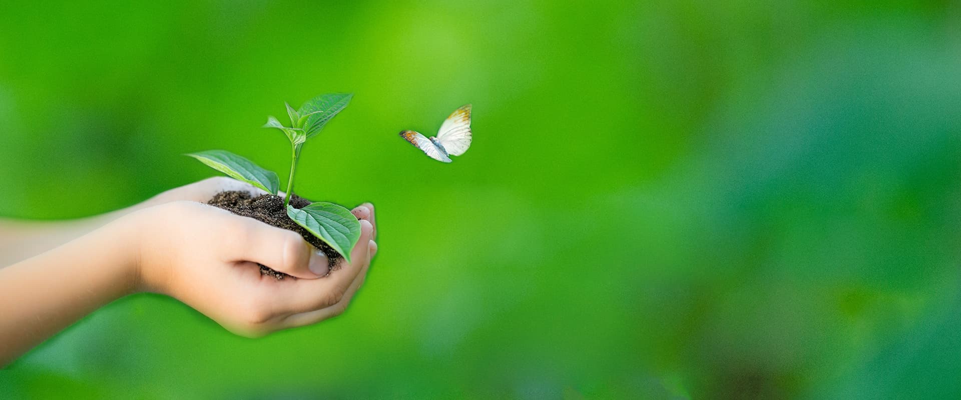 EcoLogic.Green Amazonia